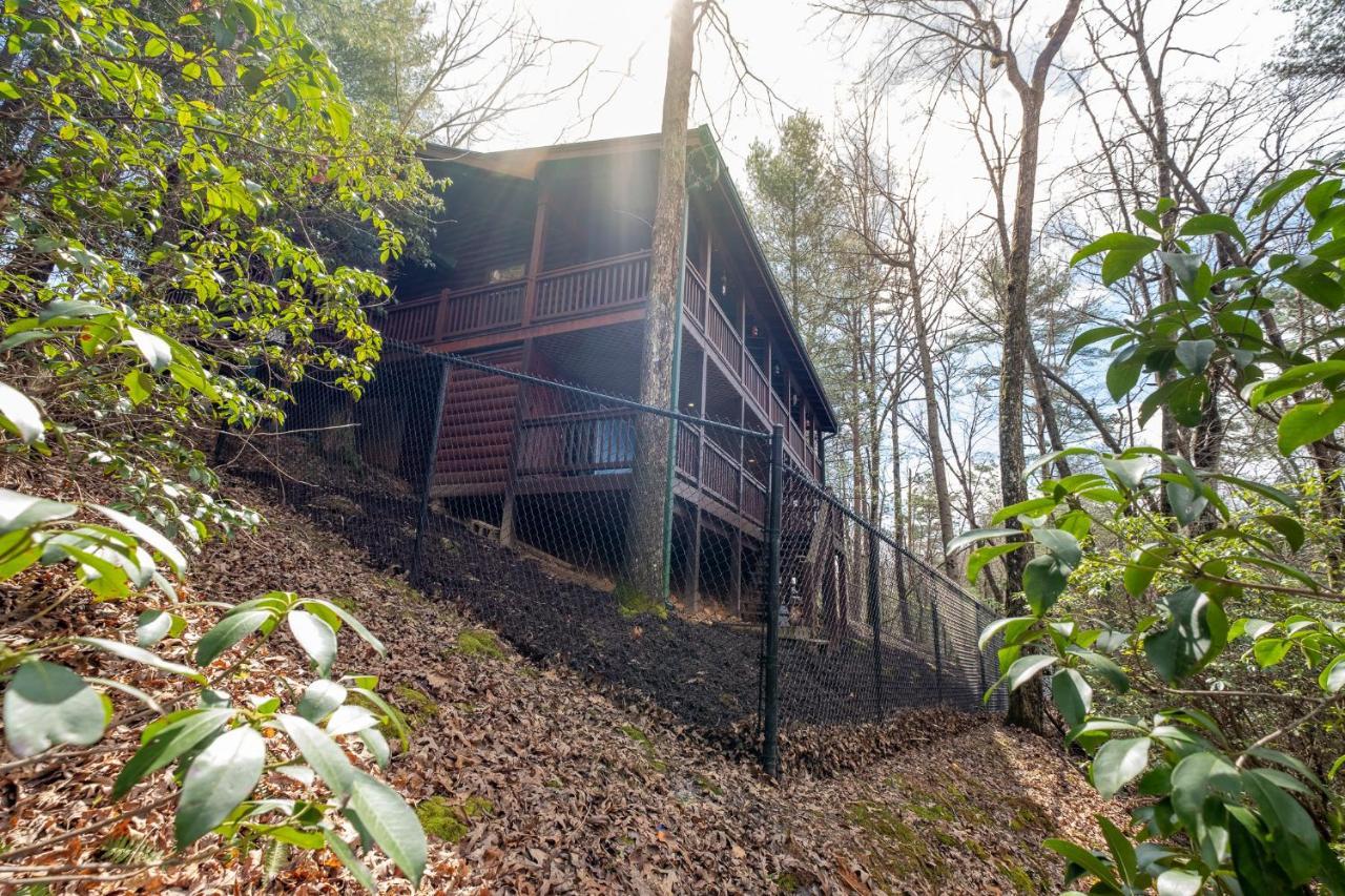 Вилла Three Dog Night - Pet-Friendly Cabin With Hot Tub Блу-Ридж Экстерьер фото