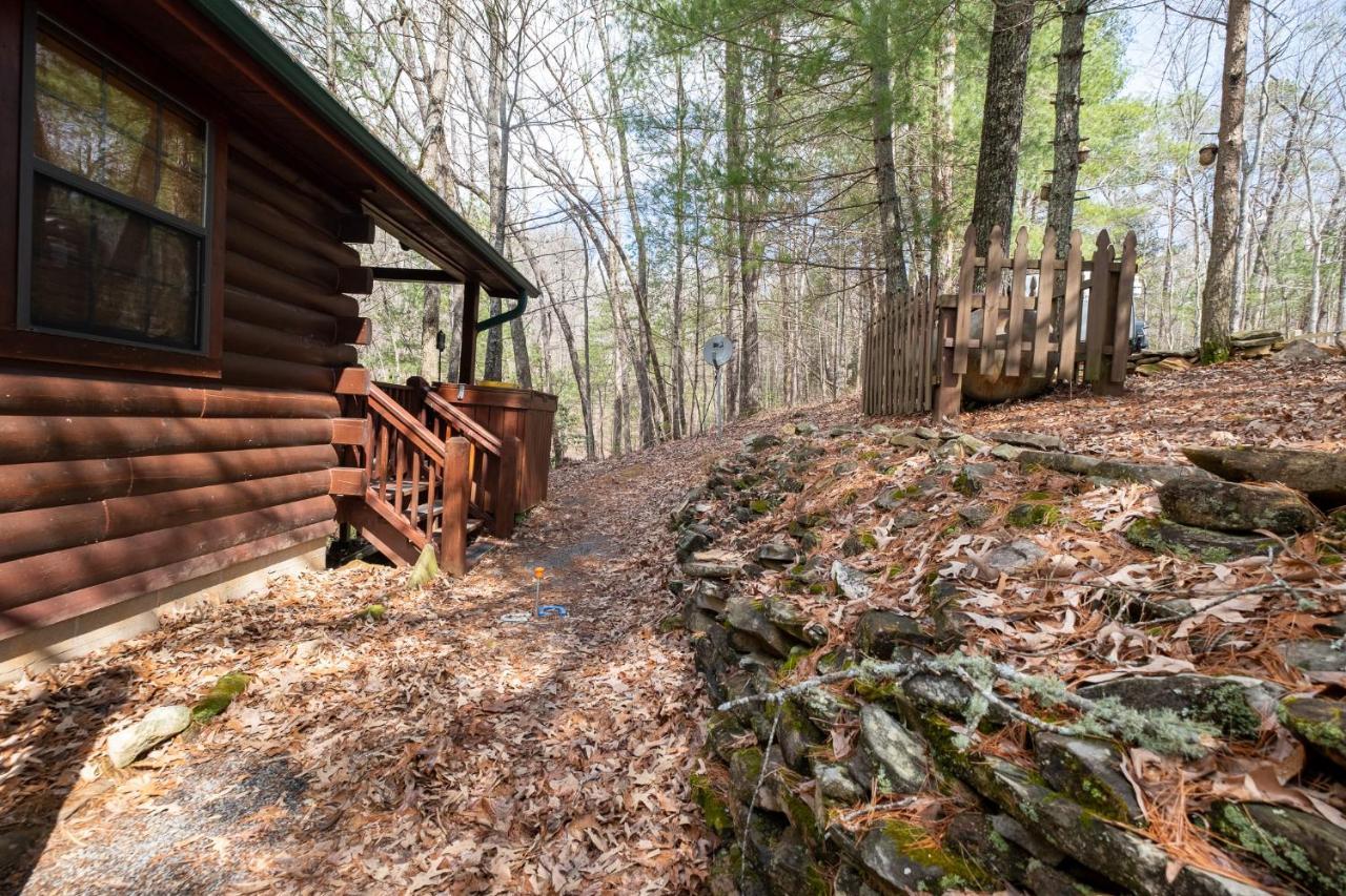 Вилла Three Dog Night - Pet-Friendly Cabin With Hot Tub Блу-Ридж Экстерьер фото